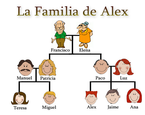 module-assessment-family-vocabulary